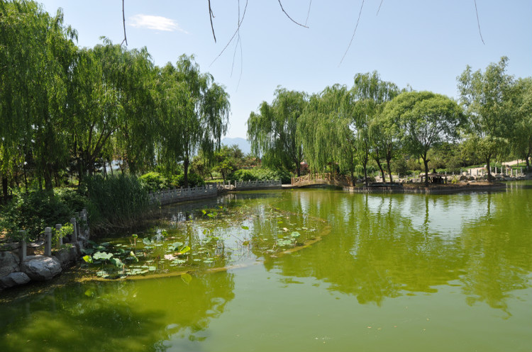 善唯自选：墓地可以转介绍吗？如何给亲友介绍墓地？